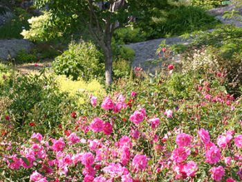 Jardin floral-banniere