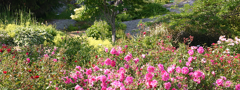 Jardin floral-banniere